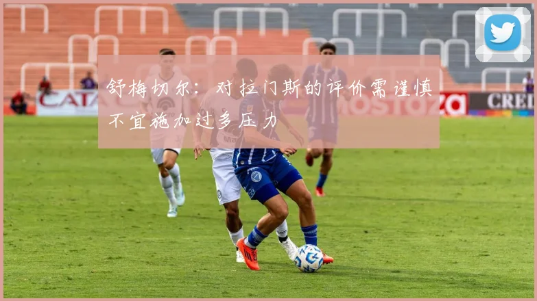 舒梅切尔：对拉门斯的评价需谨慎不宜施加过多压力