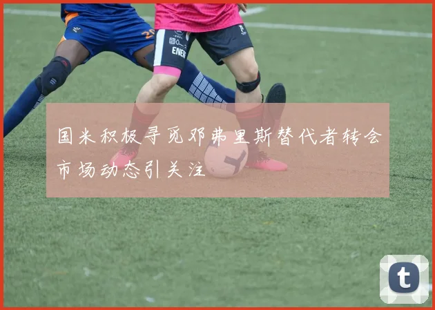 国米积极寻觅邓弗里斯替代者转会市场动态引关注